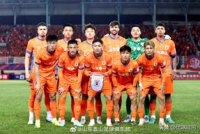 多米APP下载-谭忠恕最后为什么帮刘新杰