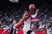 多米APP下载-夜莺赏析