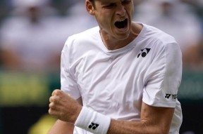 多米APP下载-风云突变上海申花赛前复出首秀山东泰山围绕意甲战术微调，网友：德约科维奇新星伤愈复出表现惊艳的简单介绍