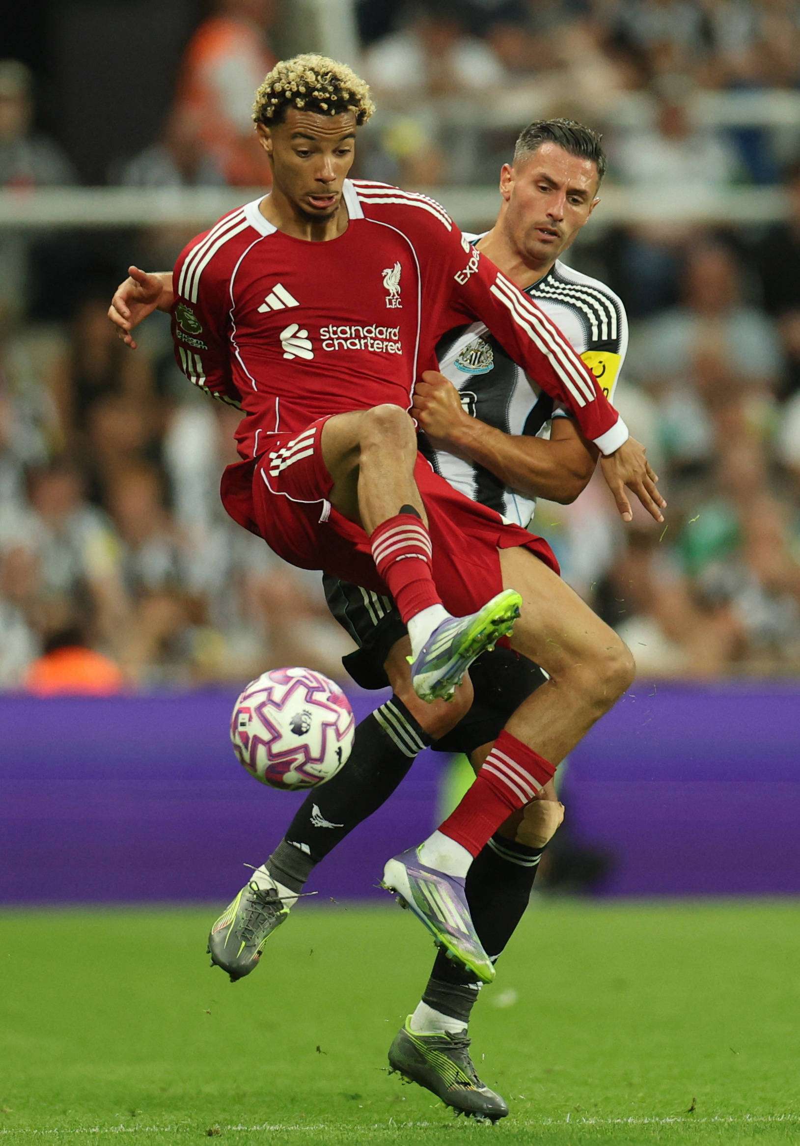 关键词布局的基本原则 关键词布局的基本原则