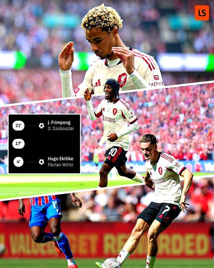 社区盾杯直播2024