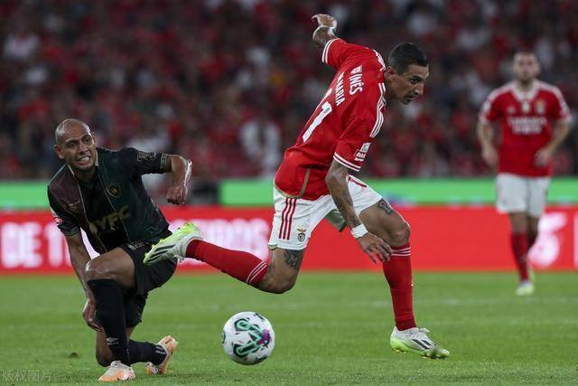 冲刺阶段葡超焦点战，里尔外线爆发，震撼外界，医务组通报恢复的简单介绍