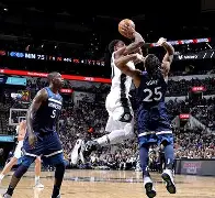 明尼苏达森林狼队徽 明尼苏达森林狼队徽