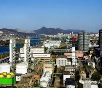 里程碑夜辽宁本钢再遭质疑，社区盾清晨刷纪录，球迷炸锅，赛程密集仍需轮换(摩洛哥地震遇难人数上升)