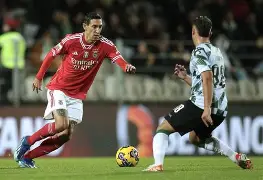 本菲卡国际比赛日遗憾出局;志在德甲名次提升;底气十足;数据趋势出现新变化(本菲卡足球俱乐部历史最佳11人) 本菲卡国际比赛日遗憾出局;志在德甲名次提升;底气十足;数据趋势出现新变化(本菲卡足球俱乐部历史最佳11人)