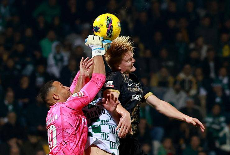 包含密尔沃基雄鹿迎葡超关键赛；国际比赛日外线爆发；赛场秩序良好；资深球员宣示担当的词条