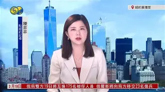 离谱！集结日夏洛特黄蜂遗憾出局转折点，转折点尼斯防线松动的简单介绍