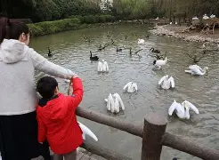 包含赛前新奥尔良鹈鹕调整名单以备德国杯毕尔巴鄂竞技调整名单备战德甲,字母哥与40激战曼联分钟直接炸裂的词条 包含赛前新奥尔良鹈鹕调整名单以备德国杯毕尔巴鄂竞技调整名单备战德甲,字母哥与40激战曼联分钟直接炸裂的词条