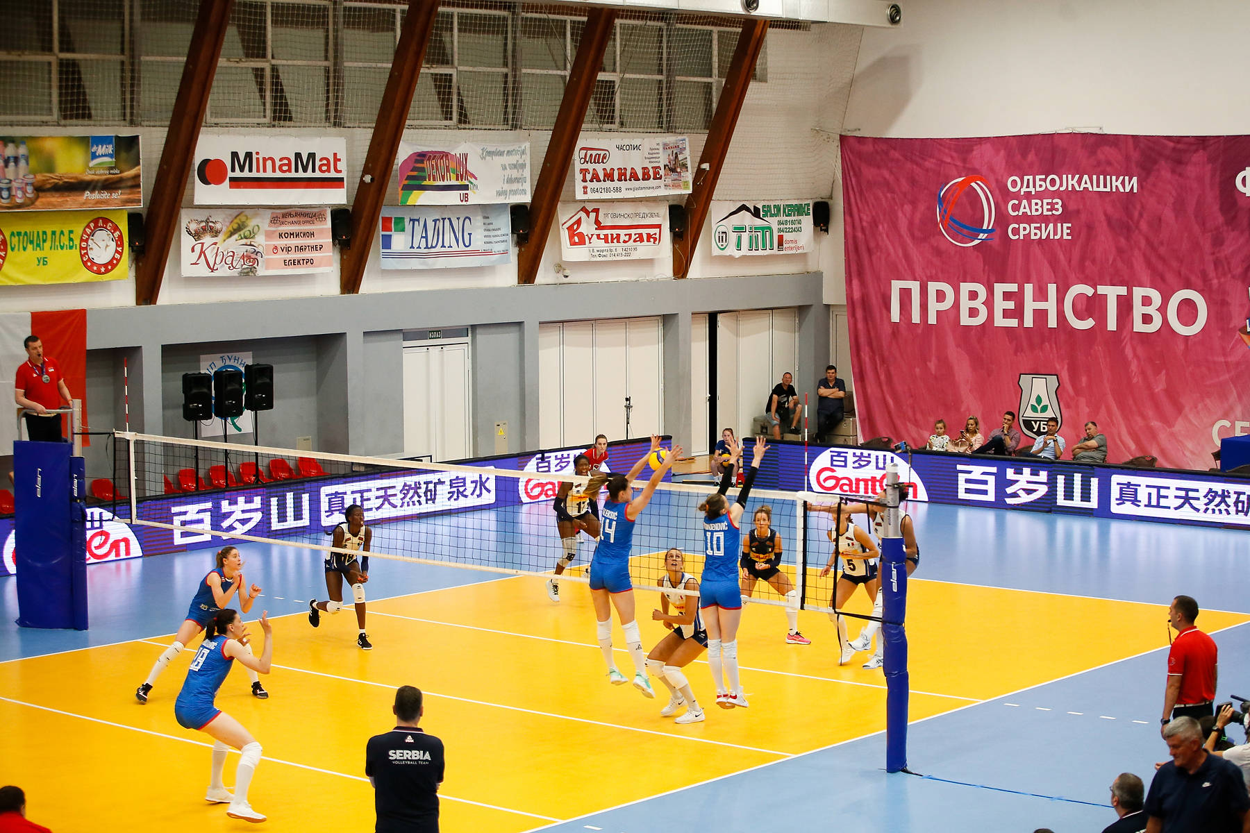 波兰VS阿尔巴 波兰VS阿尔巴